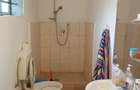 Casă cu 3 camere cu Teren 2400 Mp în Mircea Vodă - 9