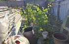 Rate / schimb Teren 190 mp Sector 6 | POT 70% CUT 2,5 | Vanzare / Asociere / Inchiriere | Deschidere 15 m - 2