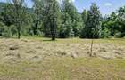 Teren de vanzare 2.000 mp, Comarnic, Prahova