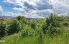 Teren intravilan de 2108 mp, cu casa, zona excelenta, Dambul Rotund - 12