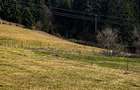 Teren intravilan 6.260 mp Vidra Alba langa Arie? | utilita?i | se poate impar?i - 5
