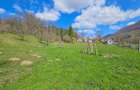 Oportunitate de Investi?ie: Teren Intravilan 2000 mp in Valea Doftanei - 2
