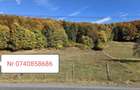 De vanzare teren intravilan 5.200 mp front 40 m DN10 Teliu, Brasov