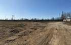 Teren Industrial Calea Borsului- 10.000 mp - 33.300 mp sau 7 - 7