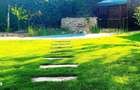 Oportunitate investitie Vila Costinesti 12 cam Beach Please - 6