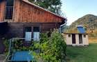 Cabana de vanzare: Ibanesti - Zimti intr-o zona de vis, pe malul apei - 8