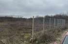 Vand teren intravilan Dragomiresti Vale 900 mp - 7