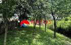 Casa de vanzare in Cornu, Prahova | 2 locuinte | Teren 1.387 mp | Comi - 5
