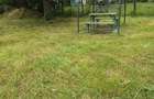 Vand teren intravilan, Domnesti, Arges