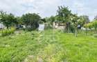 Casa cu teren 2052 mp in Saldabagiu de Munte - 9