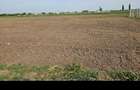 Vand sau Inchiriez parcela SAD in Covaci 1050mp 58000euro 850 euro - 1