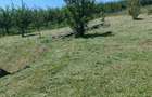 Teren 1.142 mp Sigmir-Extravilan la limita cu Intravilan, scos din circuit agricol, Utilitati+fundatie 99 m - 3