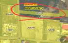 Teren Domnesti str. Bujorului Industrial 1250mp - 6