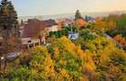 PF: Apartament 3 camere, Marasti, Gheorgheni, parcul Bibliotecii - 10