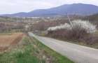 Casă cu 5 camere cu Teren 3000 Mp în Dezna - 1