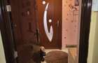 Vest,Minerva,apartament 2 cam de vanzare - 1