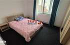Apartament de inchiriat zona cetate - 4