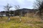 Teren intravilan 3.709 mp, Strem? - 1