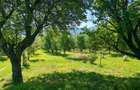 Terenul pe care se clădește visul tău – Tocile, Sibiu - 8