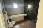 Exclusivitate, Casa individuala, 115mp, Bucium-Visan, intabulata - 11