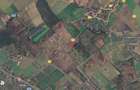 Teren intravilan la padure curti-constructii 9.600 Ghimpati-Racari - 4