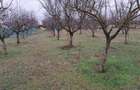 Teren intravilan 3000 mp/Cadastru - 13