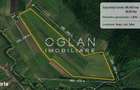 Teren 8,95 ha Rosia Sibiu Comision 0% - 1