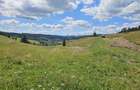 Teren de vanzare extravilan in Bucovina zona Breaza