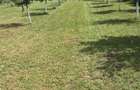Vand casa / Topoloveni ( zona 0 ) - 4