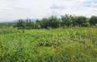 Teren Intravilan cu PUZ \ destinatie Comercial - 1