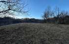 Teren 4000mp Olane?ti Gurguiata Schitul Bradul