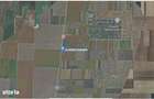 Teren extravilan Dragalina, cota parte 1/2, ID: R2992764 - 3