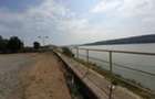 Oltenita - teren pe malul Dunarii cu chei betonat si pont... - 2