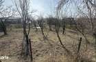 Parcele de 400 mp intravilan str. Olteni, Mosoaia, Arges - 3