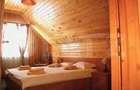 Cabana in Predeal, perfecta pentru turism 7 dormitoare - 1