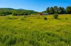 22.500mp oportunitate investitie, teren cu vizibilitate la D - Codlea (Brasov)