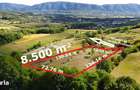 Super view | Teren 8.500 m2 Maramures | Viitorul tau colt de liniste - 7