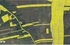Teren intravilan/extravilan Ciofeni, ID: R3013251 - 7