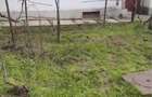 Casa bunicilor renovabila/demolabila CATARGIU Baraganului colt Voineasa - 6
