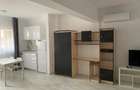 Studio de inchiriat Biruintei 81 - 1