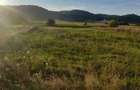 Teren intravilan + extravilan , 4848 mp , loc. Micesti, acces direct DN 73 - 5