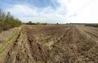 Vand teren 1000 mp intravilan Valea Plopilor Jud. Giurgiu