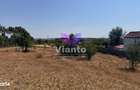 Teren intravilan de 3500 mp- Cartier Arhitectilor - 6