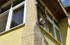 Casa solida Bagara Aghiresu, la 30 min de Cluj-Napoca - 6