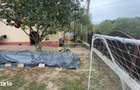 CASA 3 CAMERE TEREN 262 MP BUGHEA DE JOS ARGE? - 7