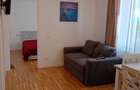 Inchiriez apartament pe bld regele Ferdinand, 1 dormitor, living cu bucatarie deschisa, baie, balcon si dressing - 7