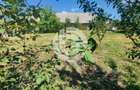 Teren intravilan Sura Mare - 578 Mp - PUZ aprobat si toate u - 5