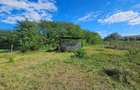 Persoana Fizica vand Teren Cluj - Borsa Catun - Intravilan 2300 mp - Extras CF - Cabana - Foisor - 8