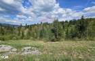 Teren 4048mp Campulung Moldovenesc, Strada Izvorul Alb, Suceava - 17