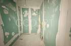 Penthouse exclusivist | Herastrau